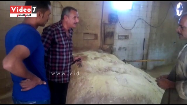 ضبط 11 طن مواد غذائية فاسدة قبل بيعها فى السوق السوداء بالشرقية