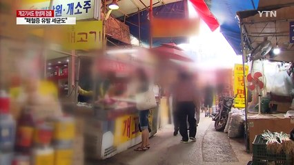 "개고기 절반 이상 항생제 검출...세균도 나와" 논란 / YTN