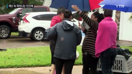 '하비'가 모든 것을 집어 삼켰지만...피어나는 인간애 / YTN