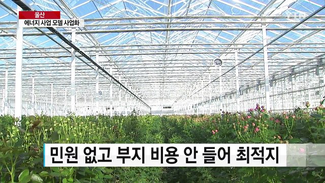 울산, 신재생에너지 23개 사업 모델 발굴 추진 / YTN