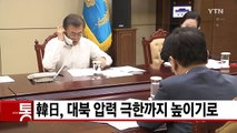 [YTN 실시간뉴스] 韓日, 대북 압력 극한까지 높이기로 / YTN