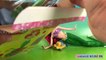 NEW Play Doh Ariel And Undersea Friends Mermaids Elsa Anna Belle Disney Frozen Play Dough