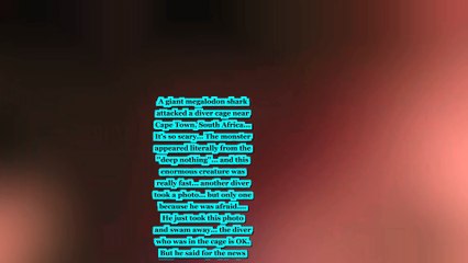 Real Megalodon Shark Found Near Cape Town 2016