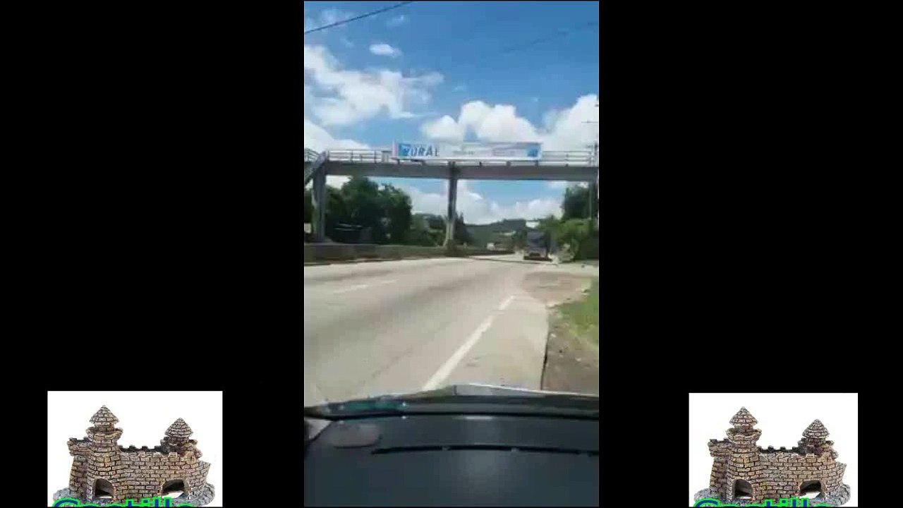 smart puppy vs silly woman, perrito inteligente vs mujer tonta
