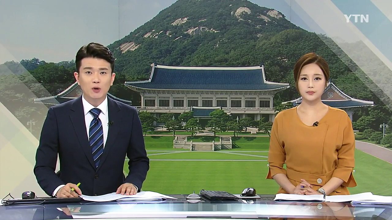 청와대 "전술핵 재배치 검토 안 해" / YTN