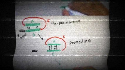 Bienvenidos a nuestro canal