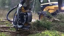Lumberjack Machine Is So Good At Ravaging Trees That It Almost Looks Evil
