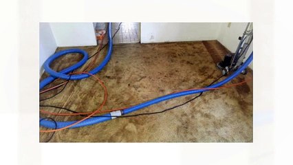 upholstery steam cleaning services Vancouver