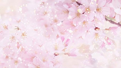 Download PDF The 71st Art Directors Annual and 6th International Exhibition FREE