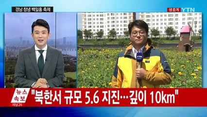 맑은 가을 하늘 아래 백일홍 만발 / YTN