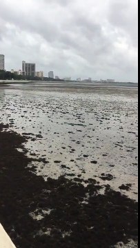 Hurricane Irma - Tampa Bay Water is MISSING