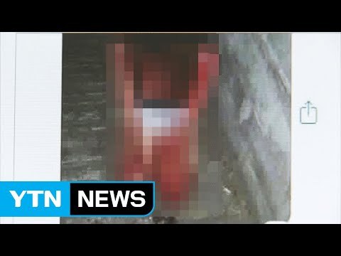 집단 폭행 후 피해자 사진 찍은 여중생 입건 / YTN