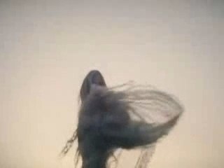 Montage Avril Lavigne