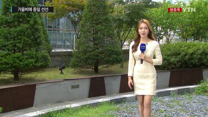 [날씨] 가을비 내리며 선선...남해안·제주도는 호우 / YTN
