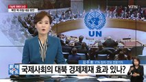 [취재N팩트] 전술핵 재배치 논란 계속...제3의 대안? / YTN