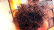 MIXED HAIR (2 textures): Moisturizing & Detangling KIDS hair | Lioness Davis