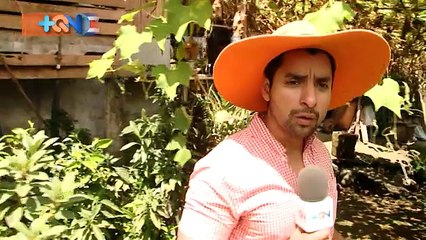 +QN 11 Setiembre 2017