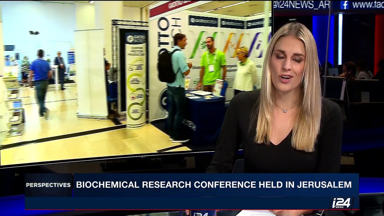 PERSPECTIVES | All aboard for Japan's mobile cat cafe | Monday, September 11th 2017