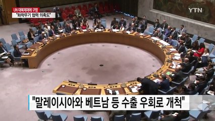 유엔제재위 "대북제재 구멍...北, 수억 달러 불법 수출" / YTN