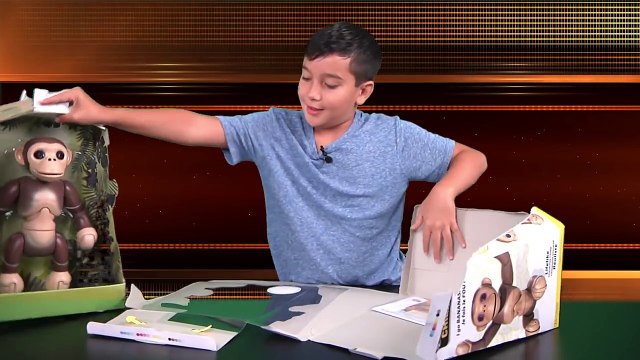 Zoomer Chimp from Spin Master | Zoomer Chimp Unboxing Toy Review | FirstLookToys from TTPM