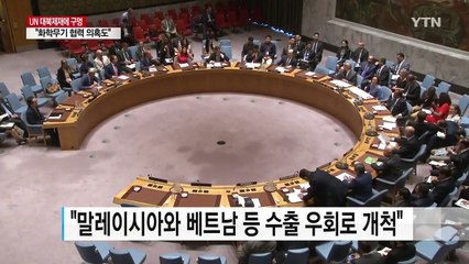유엔제재위 "대북제재 구멍...北, 수억 달러 불법 수출" / YTN