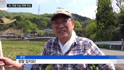日, 야생 사슴 피해 극심..."산 모양까지 바꿔" / YTN