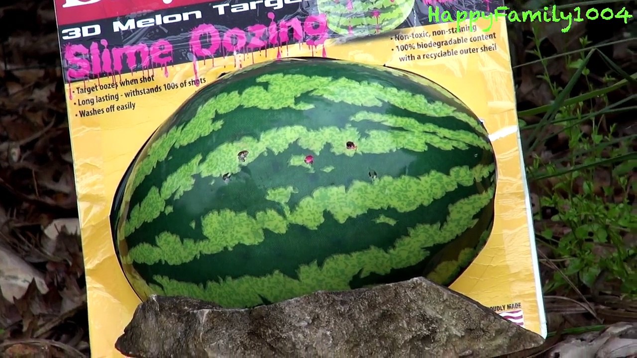 Daisy Oozing Melon Watermelon 3D Shooting Target with Robert-Andre!