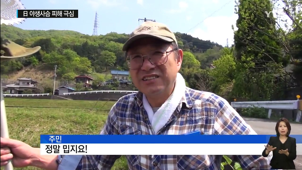 日, 야생 사슴 피해 극심..."산 모양까지 바꿔" / YTN