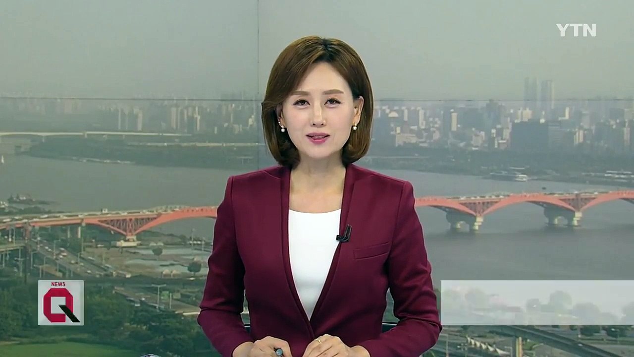 9월에 '봄의 꽃' 벚꽃 '활짝' / YTN