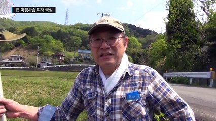 日, 야생 사슴 피해 극심..."산 모양까지 바꿔" / YTN