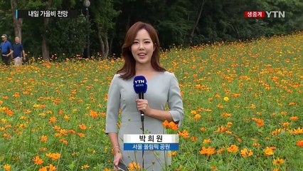 [날씨] 오후 맑고 미세먼지 보통...코스모스 개화 / YTN
