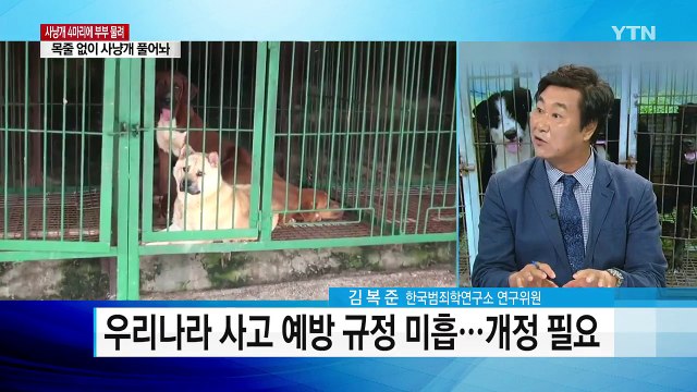 또 맹견 사고...사냥개 4마리에 부부 물려 / YTN