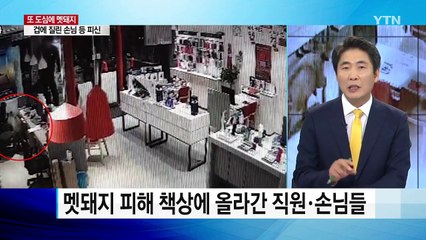 "손님인 줄"...한밤중 상가에 멧돼지 출몰 / YTN