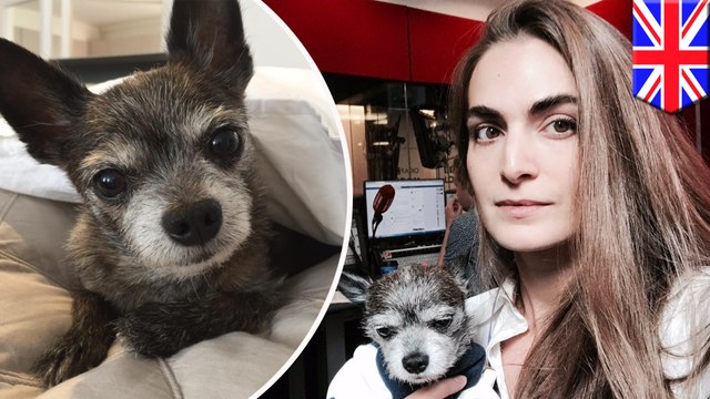Woman sells all her things to pay for pet's life-saving surgery