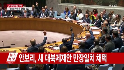 '원유·김정은' 빠진 대북제재 결의안 채택 / YTN