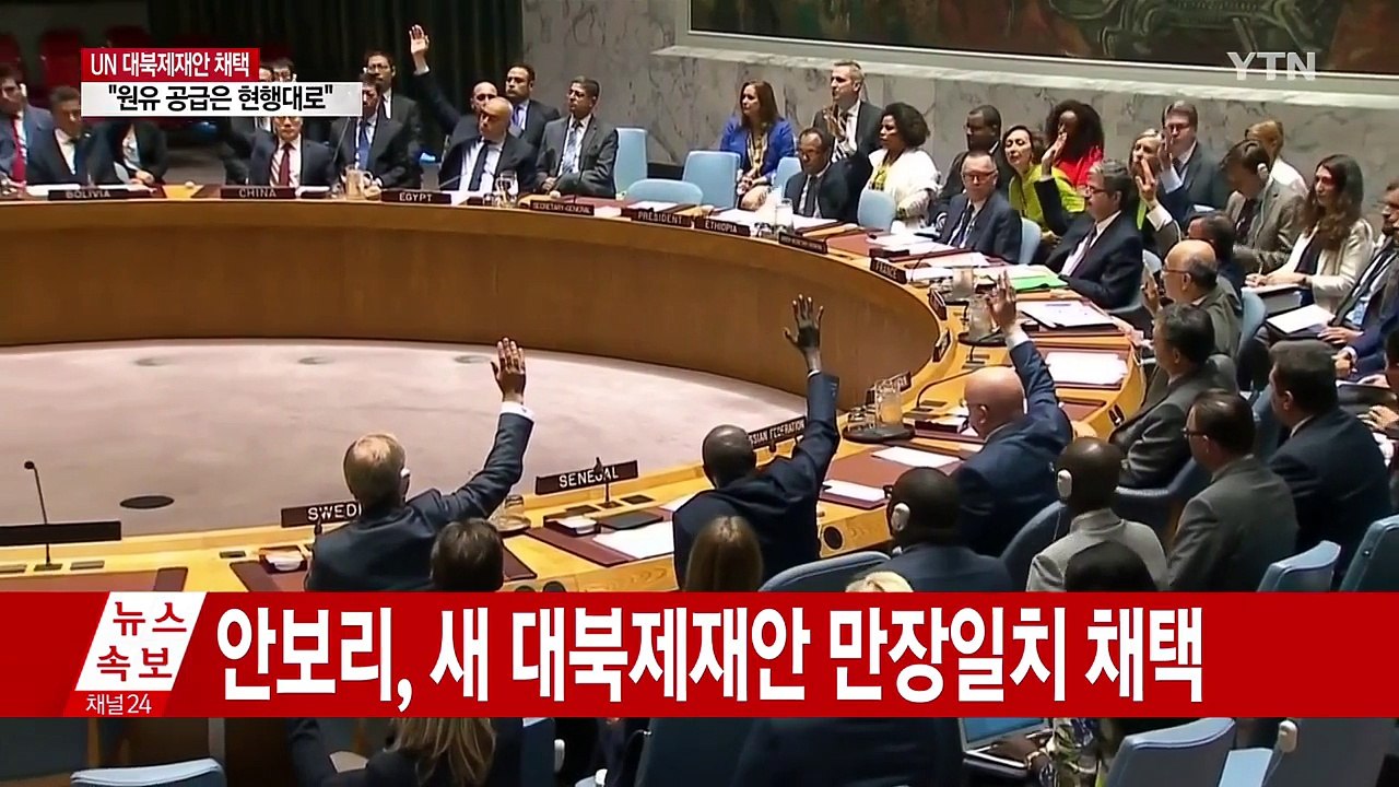 '원유·김정은' 빠진 대북제재 결의안 채택 / YTN