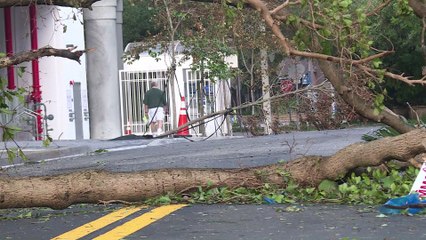 Irma : Miami soulagée après des dégâts moins importants que prévus