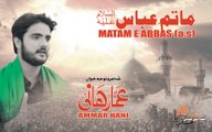 AMMAR HANI, Album 2017-18 [03. Matam-e-Abbas (A.S) ] - HD