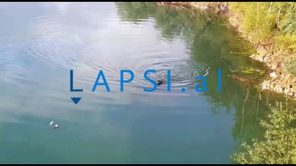 Polumbarët në lumin Drin