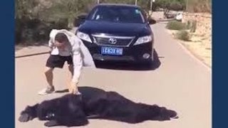 CHINESE FUNNY VIDEOS - NEW 2017