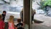 Un ours fait une drôle de blague à des enfants derrière une vitre !