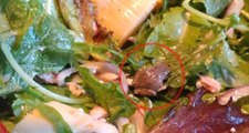Salatasından Çıkan Canlı Kurbağayı Evcil Hayvan Olarak Sahiplendi