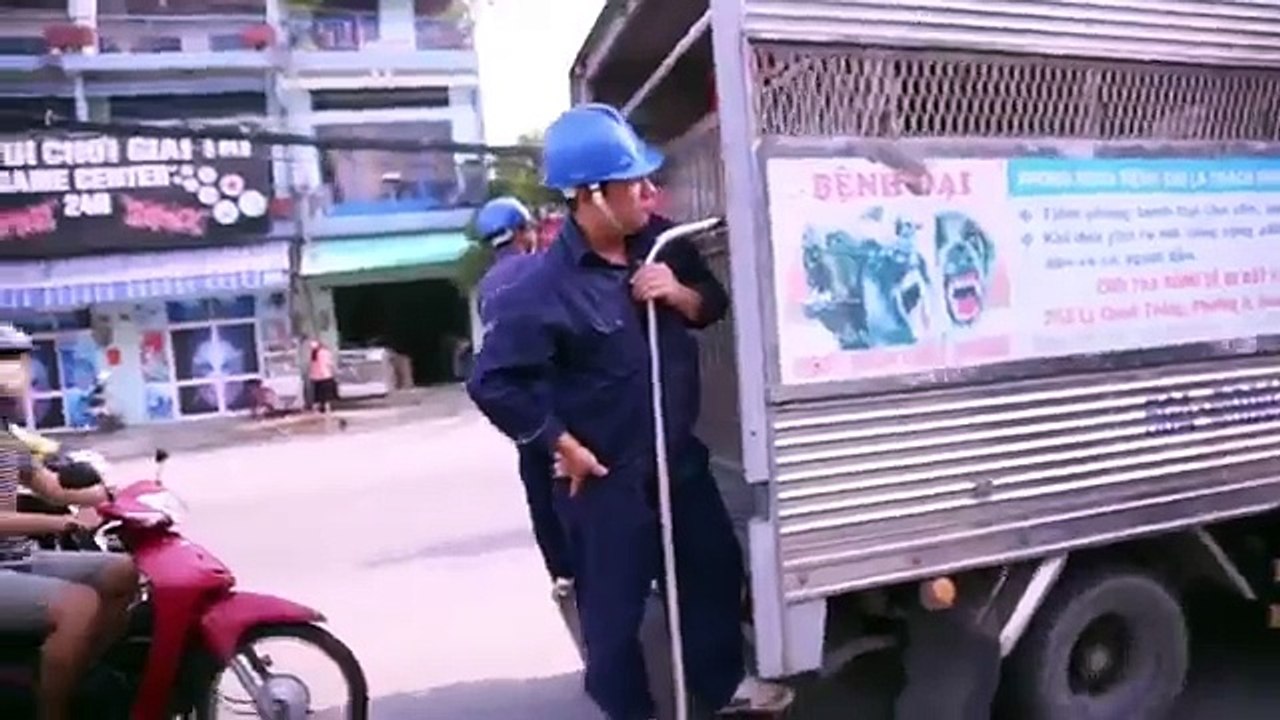 Tiếp tục ra quân bắt chó thả rông ở Sài Gòn, nhiều chó nhà bị Đội săn bắt “tóm” khiến chủ ngơ ngác