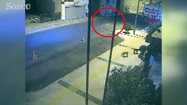 Çarptığı yavru köpeğin üzerinden geçip, kaçtı