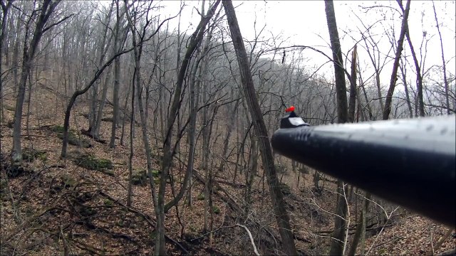 POV Deer Hunting from Tree Stand