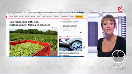 Des vendanges 2017 exceptionnelles