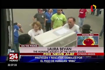 EEUU: protegen y rescatan animales tras paso del huracán 'Irma’