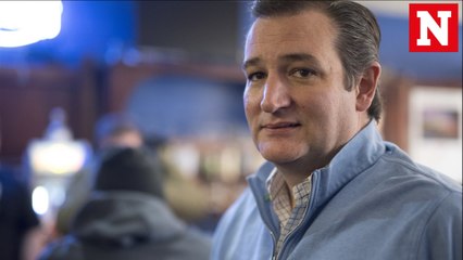 Ted Cruz 'liked' a hardcore porn video on Twitter and people found it hilarious