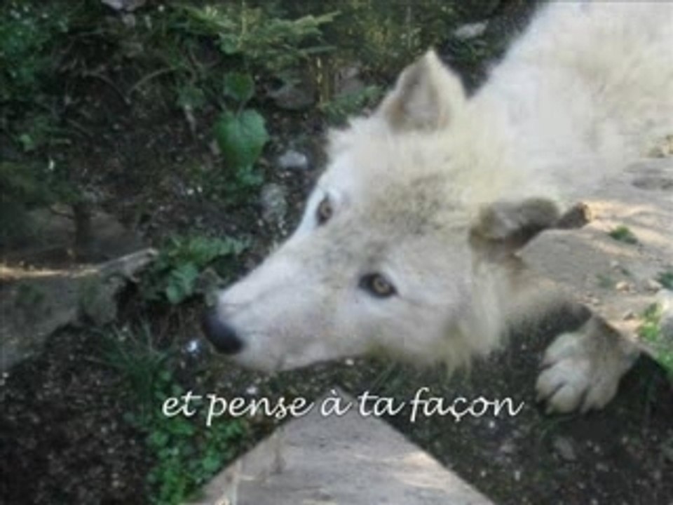 Les Loups