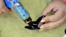 DIY: Como fazer sapato , tênis para o Ken e outros bonecos
